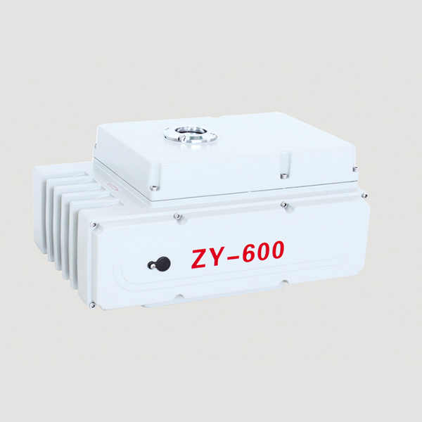 ZY-600