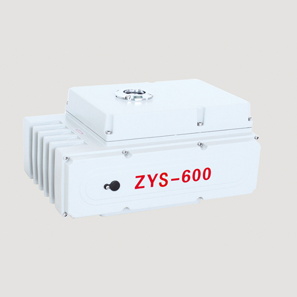 ZYS-600