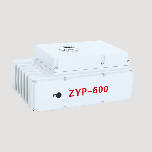 ZYP-600