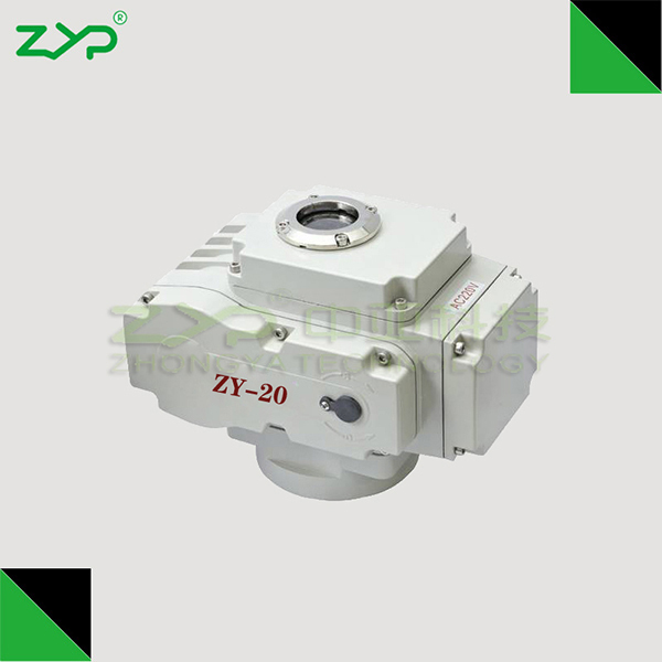 ZY-20